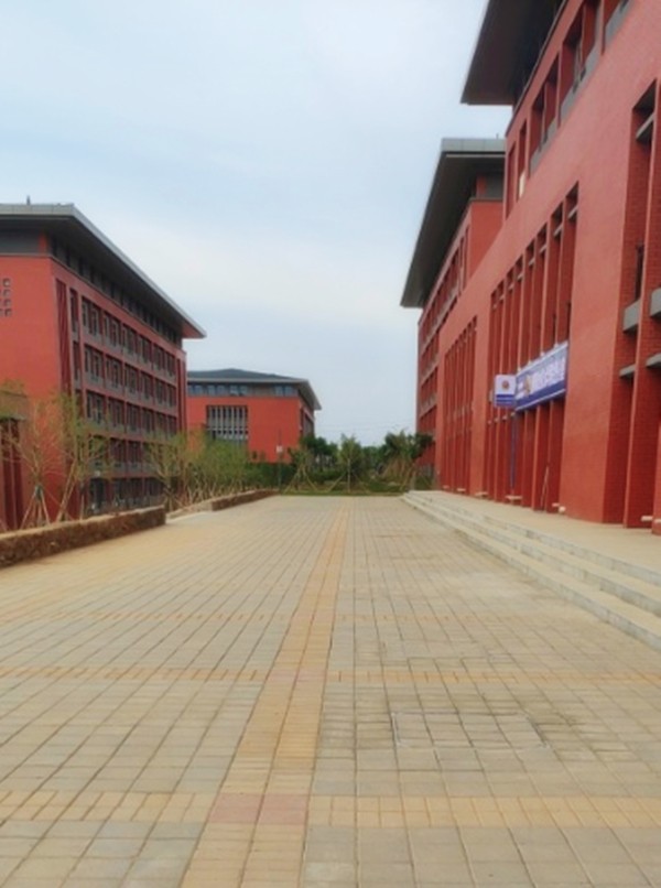 洛陽職業(yè)技術(shù)學(xué)院透水磚工程案例-施工效果展示 洛陽職業(yè)技術(shù)學(xué)院透水磚工程案例-施工效果展示