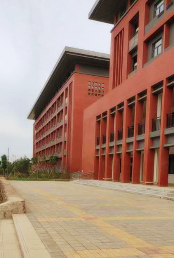 洛陽職業(yè)技術(shù)學(xué)院透水磚工程案例-施工效果展示 洛陽職業(yè)技術(shù)學(xué)院透水磚工程案例-施工效果展示