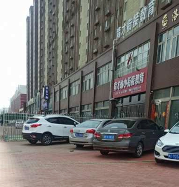 洛陽老城區中鑫家苑透水磚施工效果展示 洛陽老城區中鑫家苑透水磚施工效果展示